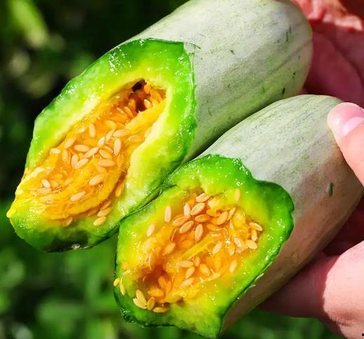 生王瓜点白糖吃,生王瓜与白糖的完美融合