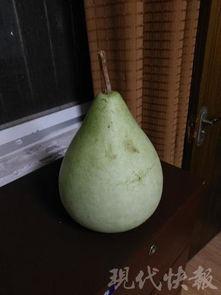 盐城吃瓜网红,带你领略地方美食风情