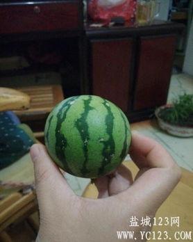 盐城吃瓜网红,带你领略地方美食风情