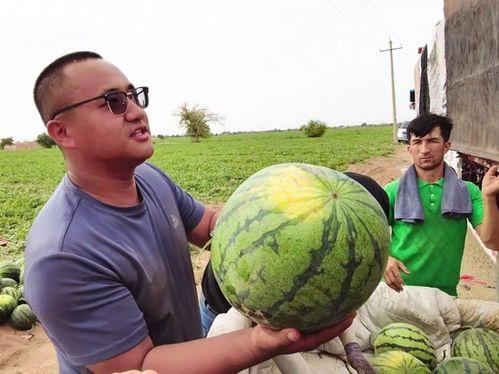 韩城吃瓜新闻最新,吃瓜群众揭秘最新热点事件内幕