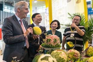 热情的吃瓜群众介休,热情吃瓜群众的热闹生活画卷