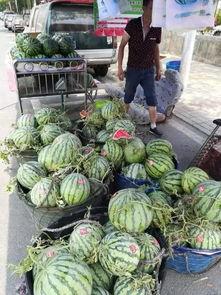 康县吃瓜事件视频