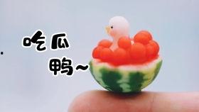 吃瓜的鸭,揭秘鸭界“网红”的日常