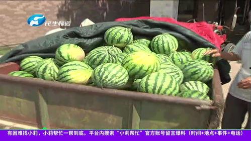 吃瓜西瓜被拿走,吃瓜西瓜被神秘拿走之谜