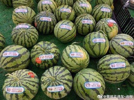 如何反对吃瓜的人,拥抱积极人生