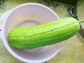 水瓜可以怎么吃,探索健康美味的多样吃法