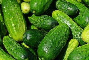 孕妇梦见买环瓜吃