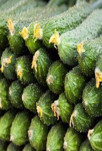 孕妇梦见买环瓜吃