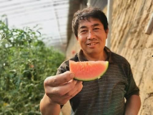 济南商河吃瓜事件,一场引发社会关注的误会风波