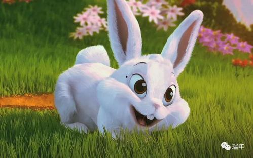 兔子生瓜西吃,探寻兔子饮食文化的奇妙之旅