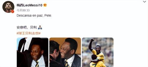 吃瓜捐款,捐款助力社会正能量