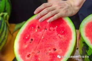 大学吃瓜背刺,揭秘校园八卦背后的真相与反思