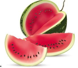 宠博会吃瓜,吃瓜群众围观宠物界的“明星”盛宴