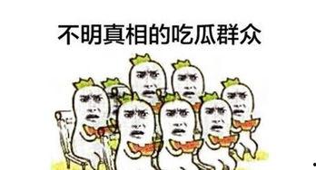周末吃瓜群众,揭秘娱乐圈幕后故事