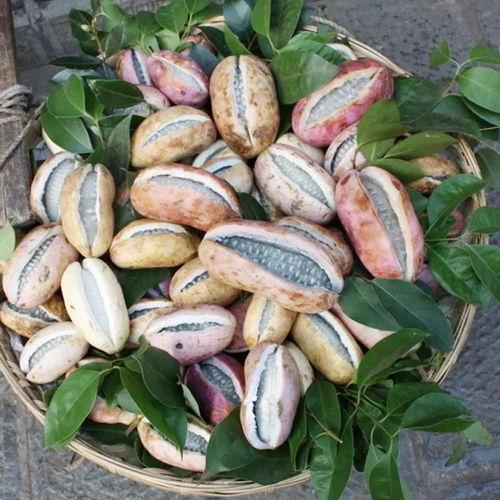 八月瓜和牛肉能一起吃吗,健康搭配的饮食新选择