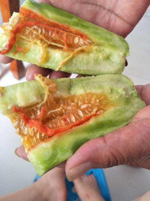 吃黄色瓜什么意思