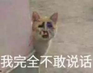 吃瓜大潮,揭秘网络热议背后的真相与趣味