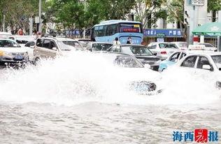 吃瓜大潮,揭秘网络热议背后的真相与趣味