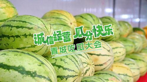 瓜分快乐吃瓜季