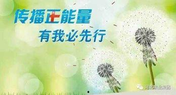 正能量文明吃瓜,正能量文明食光之旅