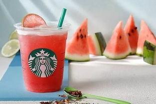 吃瓜摇摇茶,夏日消暑新宠，品味生活新风尚