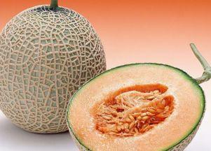 吃归脾丸后能吃哈密瓜吗,哈密瓜相宜还是禁忌？