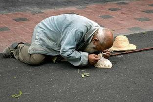 乞丐吃瓜视频大全,乞丐吃瓜视频大全趣味盘点