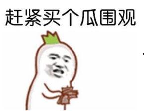 暴走吃瓜网站,暴走吃瓜网站带你领略明星幕后故事