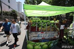 沛县吃瓜,一场别开生面的“吃瓜”盛宴