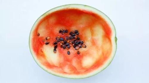 吃瓜用勺子吃,趣味横生的夏日消暑新风尚