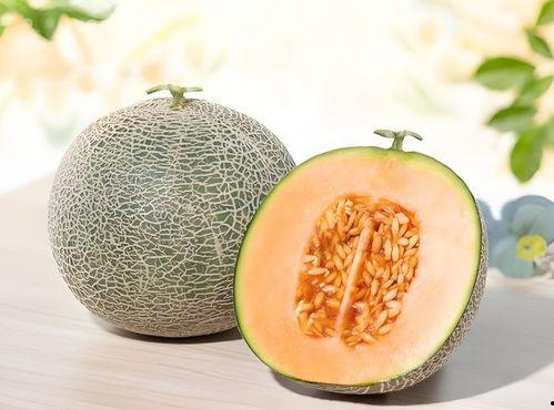 什么瓜不用煮熟吃