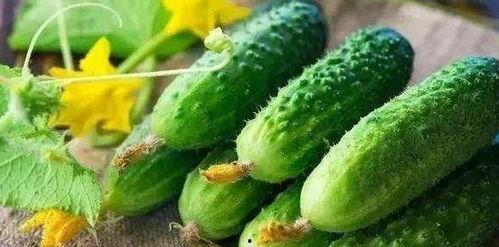 反吃瓜力,理性看待网络舆论的崛起