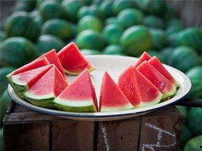 今日吃瓜每日吃