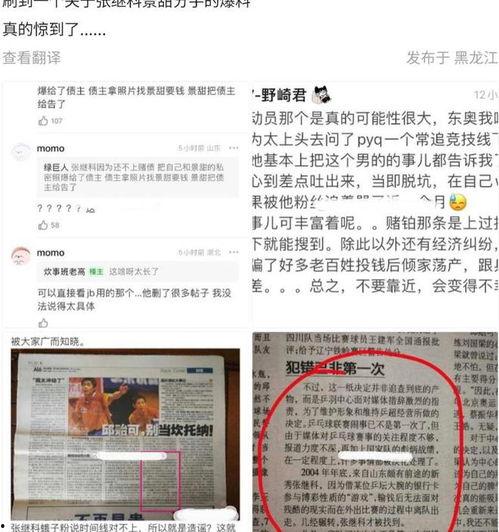 吃瓜文件事件,揭秘网络舆论背后的真相与争议