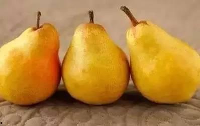 望姜吃瓜,揭秘娱乐圈背后的那些事儿