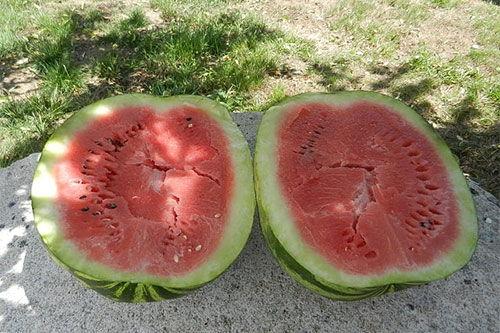 晚上梦见吃瓜,揭秘梦中吃瓜的神秘寓意