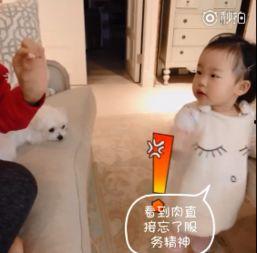 哥哥和米粒吃瓜,瓜田里的欢乐时光