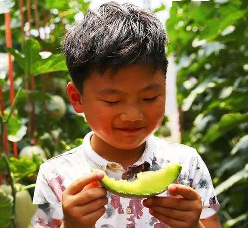 怎么找初恋吃瓜,探寻那些年我们一起吃瓜的故事