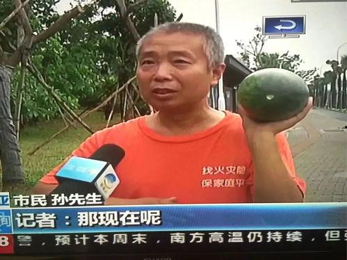 最新吃瓜事件新闻,揭秘明星隐私风波