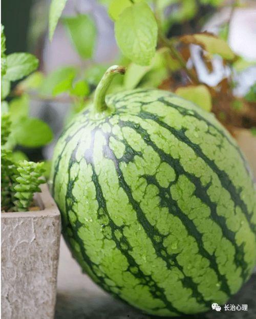 水心吃瓜,揭秘娱乐圈那些不为人知的幕后故事