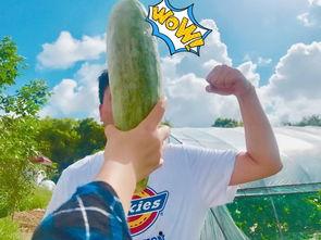 2022年吃瓜网红,流量背后的故事与争议