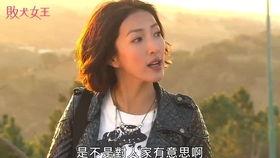 四妹吃瓜歌,揭秘娱乐圈幕后故事