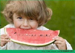 吃晴天小羊瓜好吗,美味与营养的双重享受