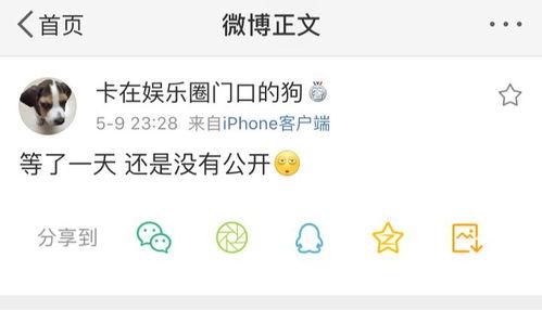 吃瓜爆料代写,吃瓜爆料背后的真相与内幕