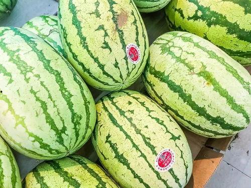 吃瓜的特色,揭秘娱乐圈那些事儿