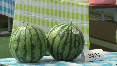 专吃瓜的人,一场场娱乐圈风云背后的真相