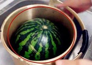 吃瓜的锅,一场网络热词背后的文化现象