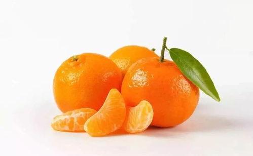 野瓜橘子怎么吃,野瓜橘子的多样食法探索