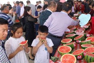 内黄吃瓜女,揭秘农村女性的生活与梦想