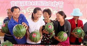 内黄吃瓜女,揭秘农村女性的生活与梦想